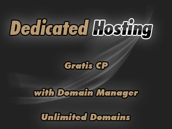 Inexpensive dedicated servers hosting services